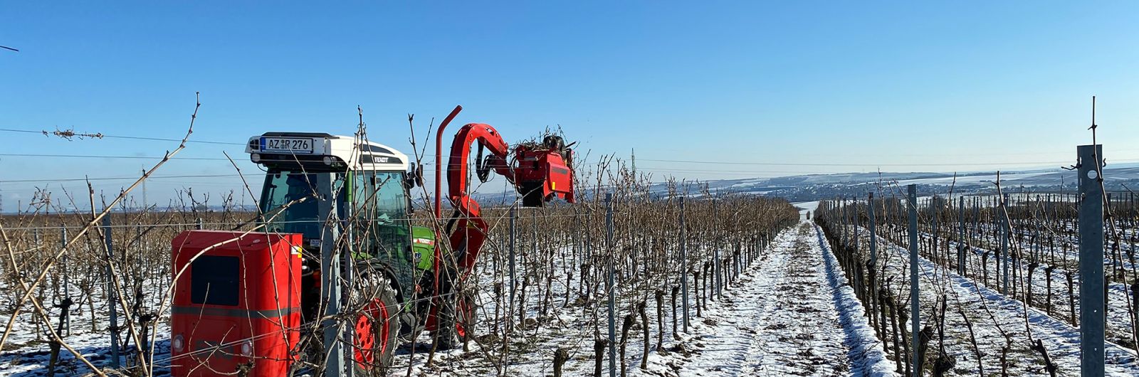 ERO-Cane Pruner VITECO